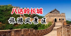 大吊日B网中国北京-八达岭长城旅游风景区